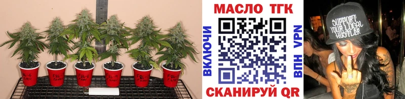 цена наркотик  Усть-Лабинск  ТГК гашишное масло 